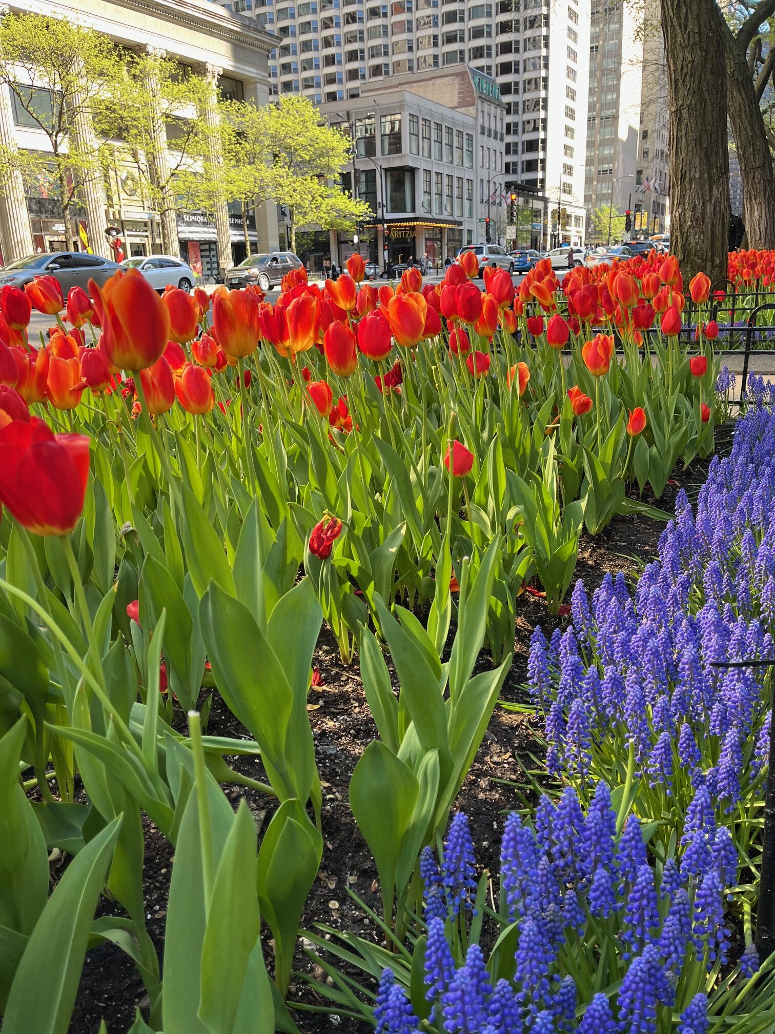 Visa4Travel รับปรึกษา รับทำวีซ่าอเมริกา ทำวีซ่าอังกฤษ ทำวีซ่าเชงเก้น 12