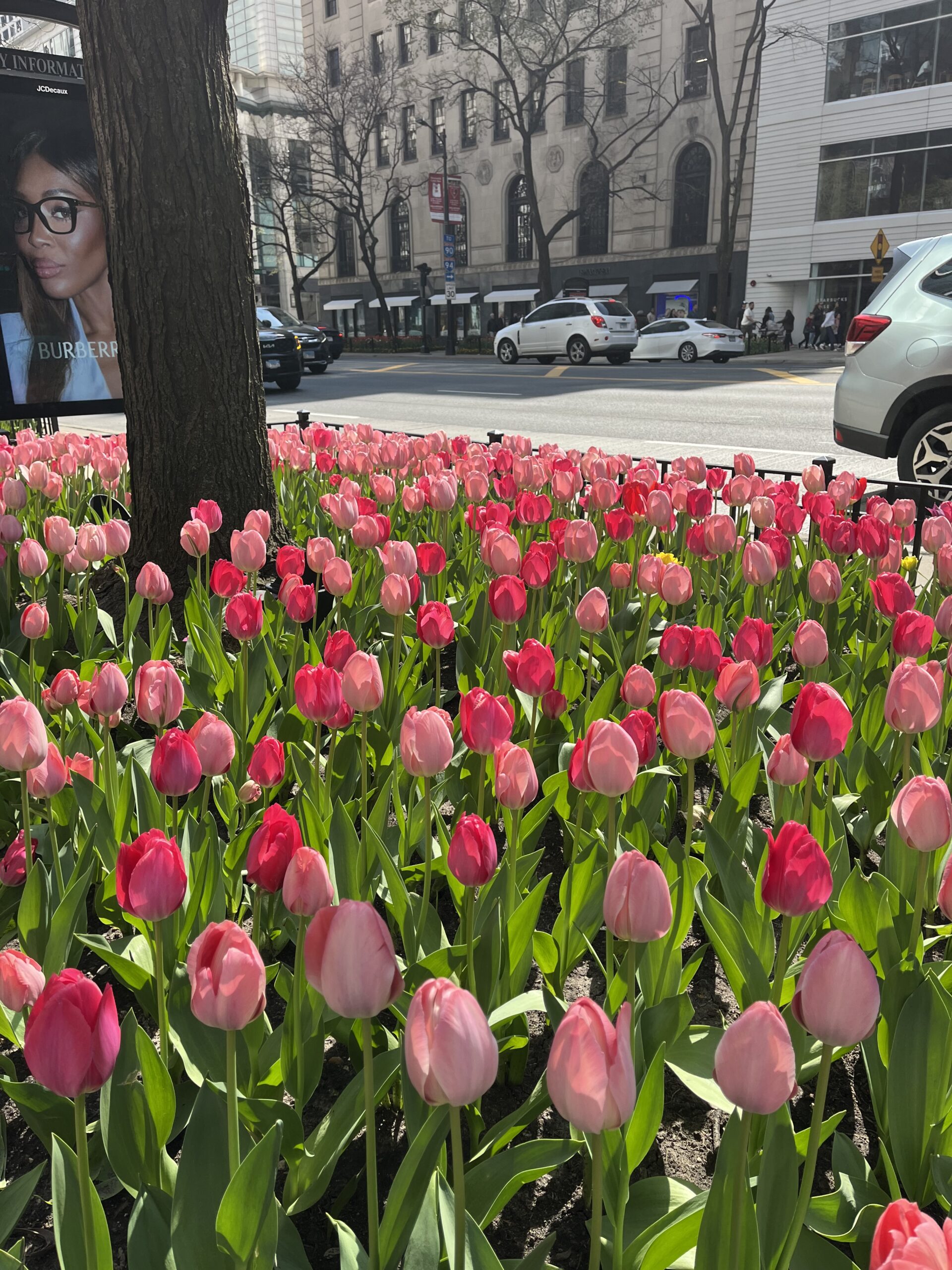 Visa4Travel รับปรึกษา รับทำวีซ่าอเมริกา ทำวีซ่าอังกฤษ ทำวีซ่าเชงเก้น 15