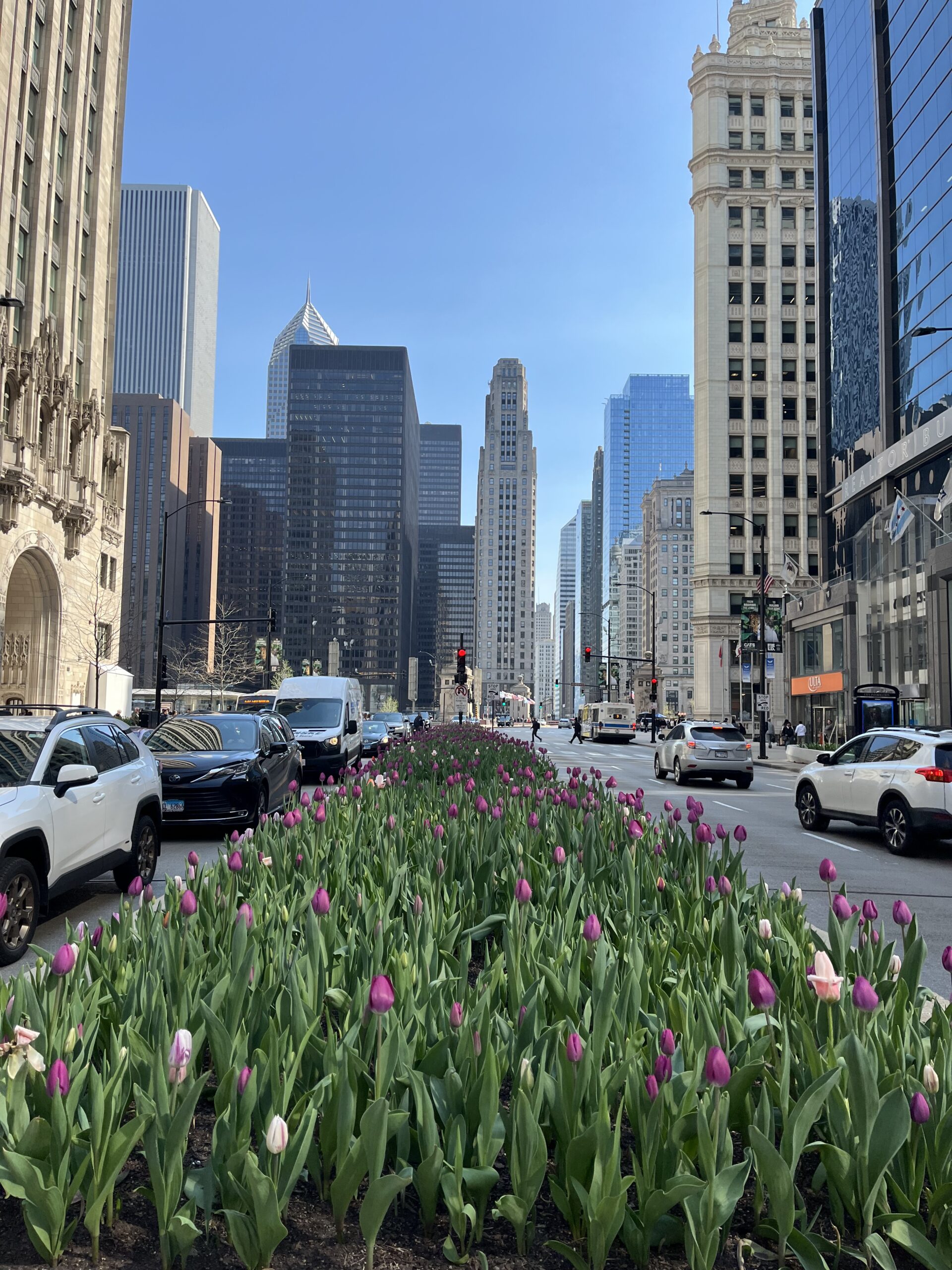 Visa4Travel รับปรึกษา รับทำวีซ่าอเมริกา ทำวีซ่าอังกฤษ ทำวีซ่าเชงเก้น 16