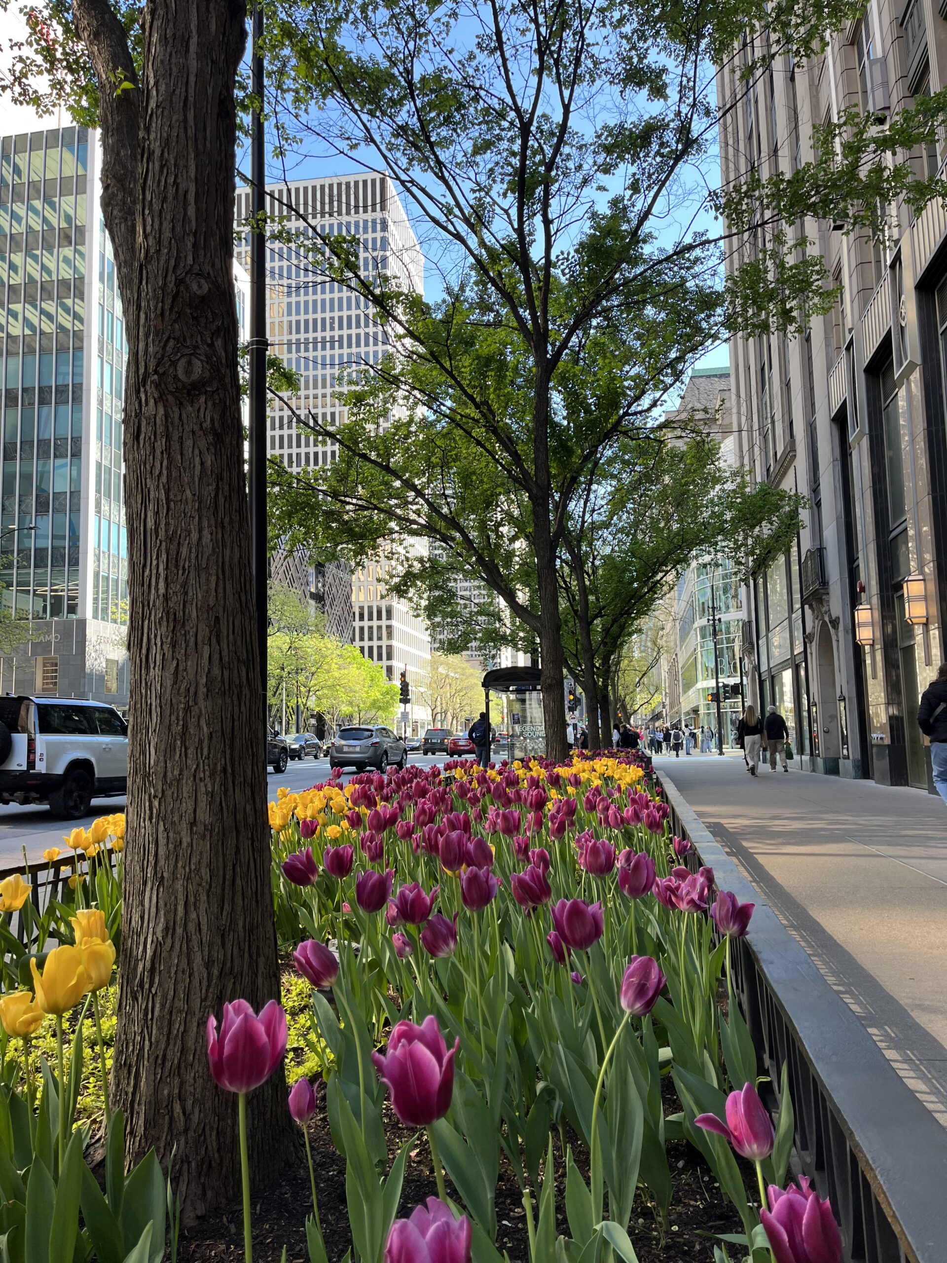 Visa4Travel รับปรึกษา รับทำวีซ่าอเมริกา ทำวีซ่าอังกฤษ ทำวีซ่าเชงเก้น 17